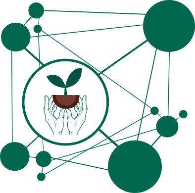 Small business growth through digital marketing